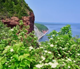 Vue vers Gaspé à partir du Pic de l'Aurore donnant sur les falaises colorées et la mer.